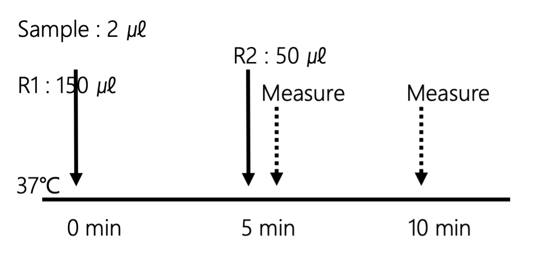 Measurement